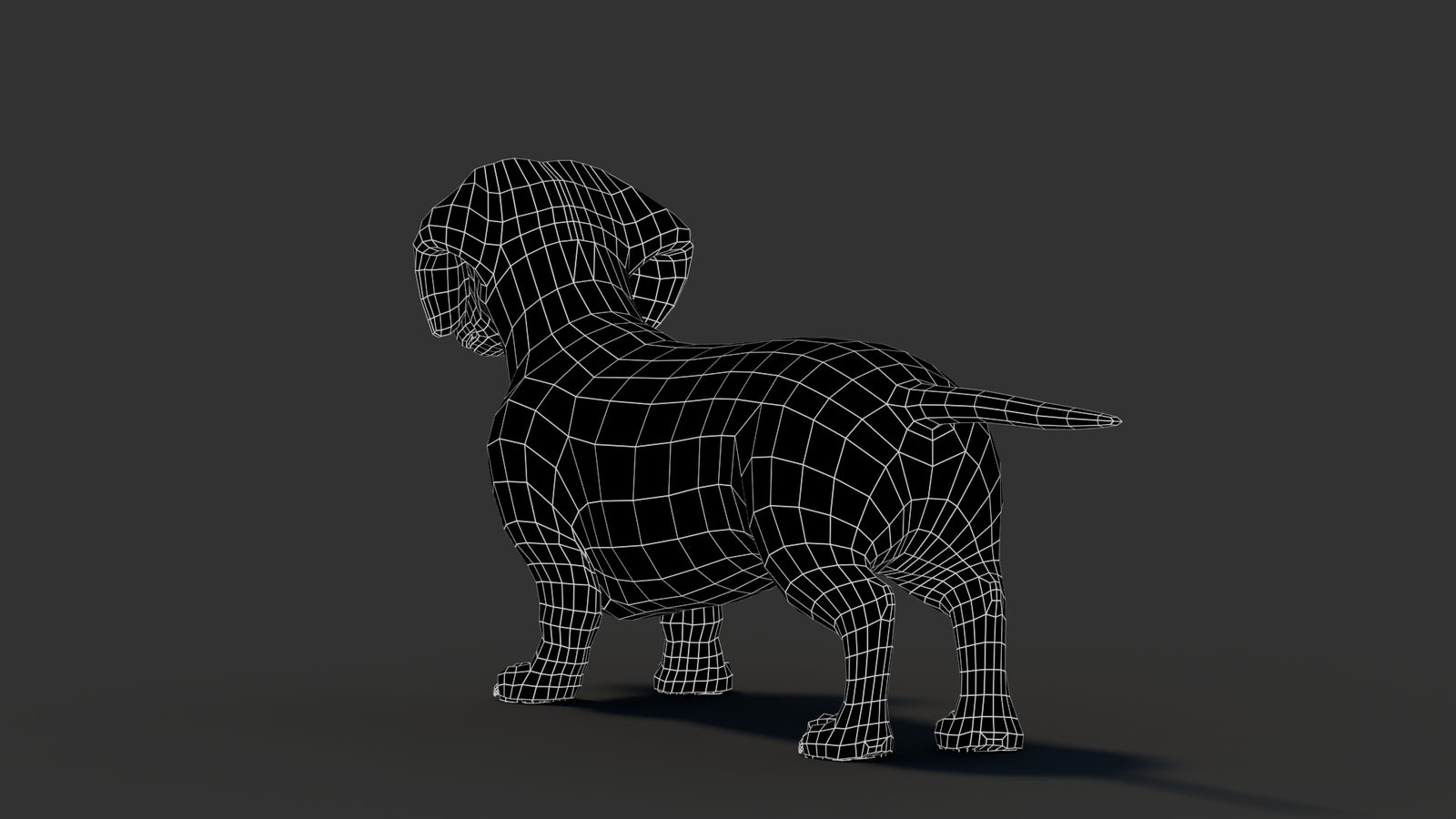 Dachshund 3D Model 360° view 3 frame 24