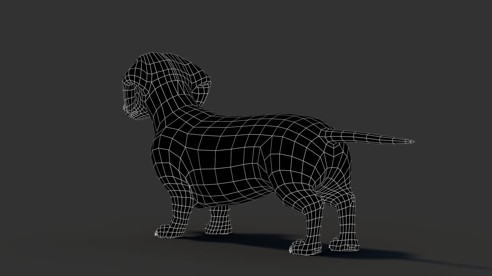 Dachshund 3D Model 360° view 3 frame 25