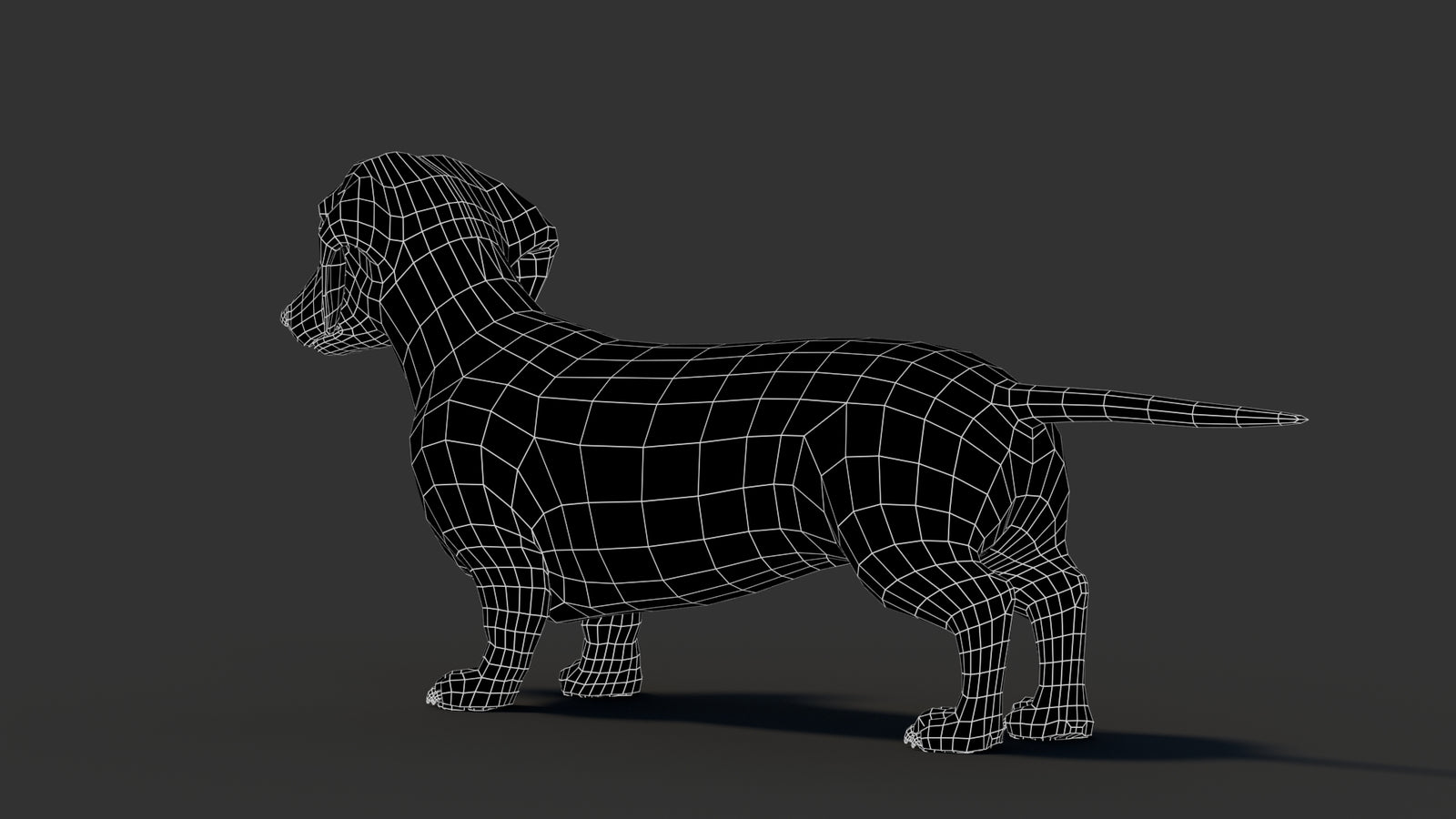 Dachshund 3D Model 360° view 3 frame 26