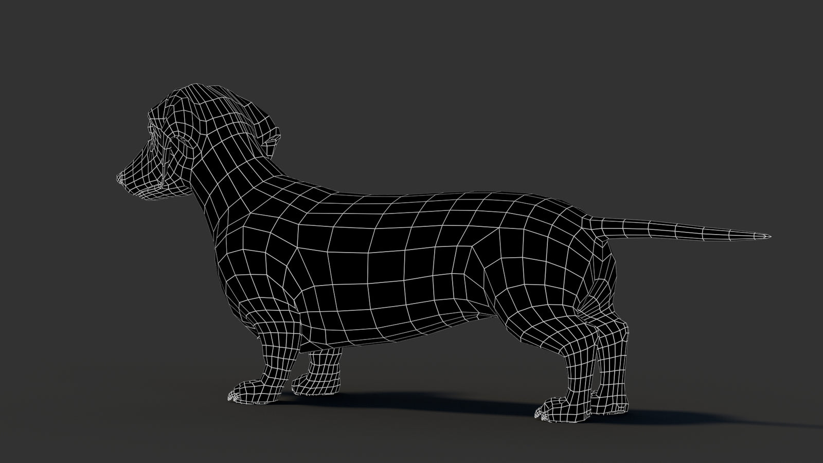 Dachshund 3D Model 360° view 3 frame 27