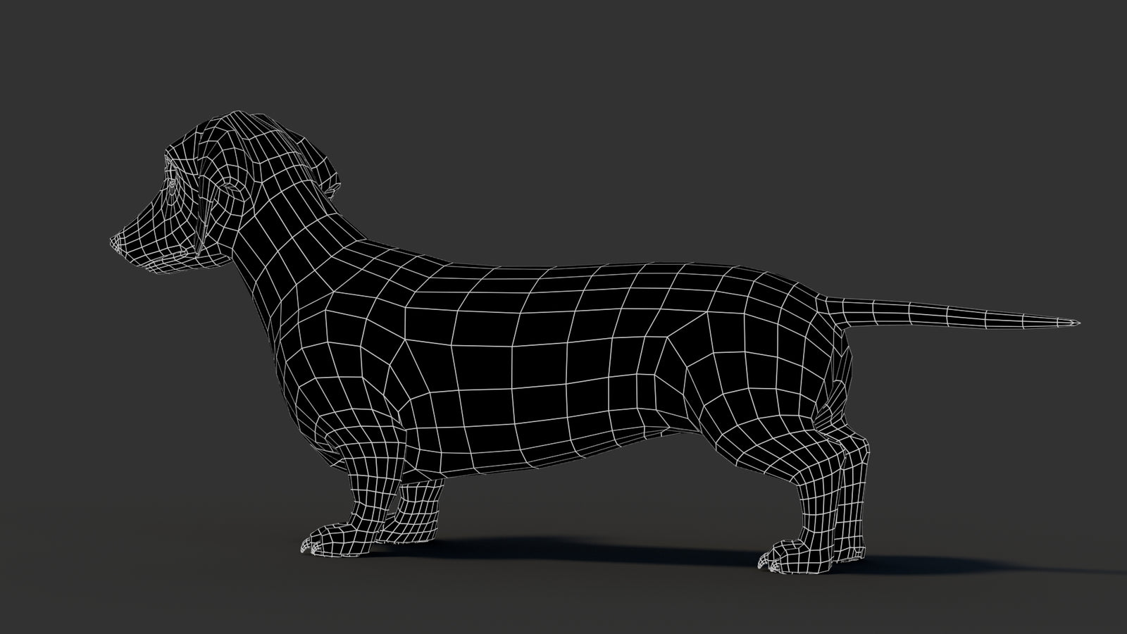 Dachshund 3D Model 360° view 3 frame 28