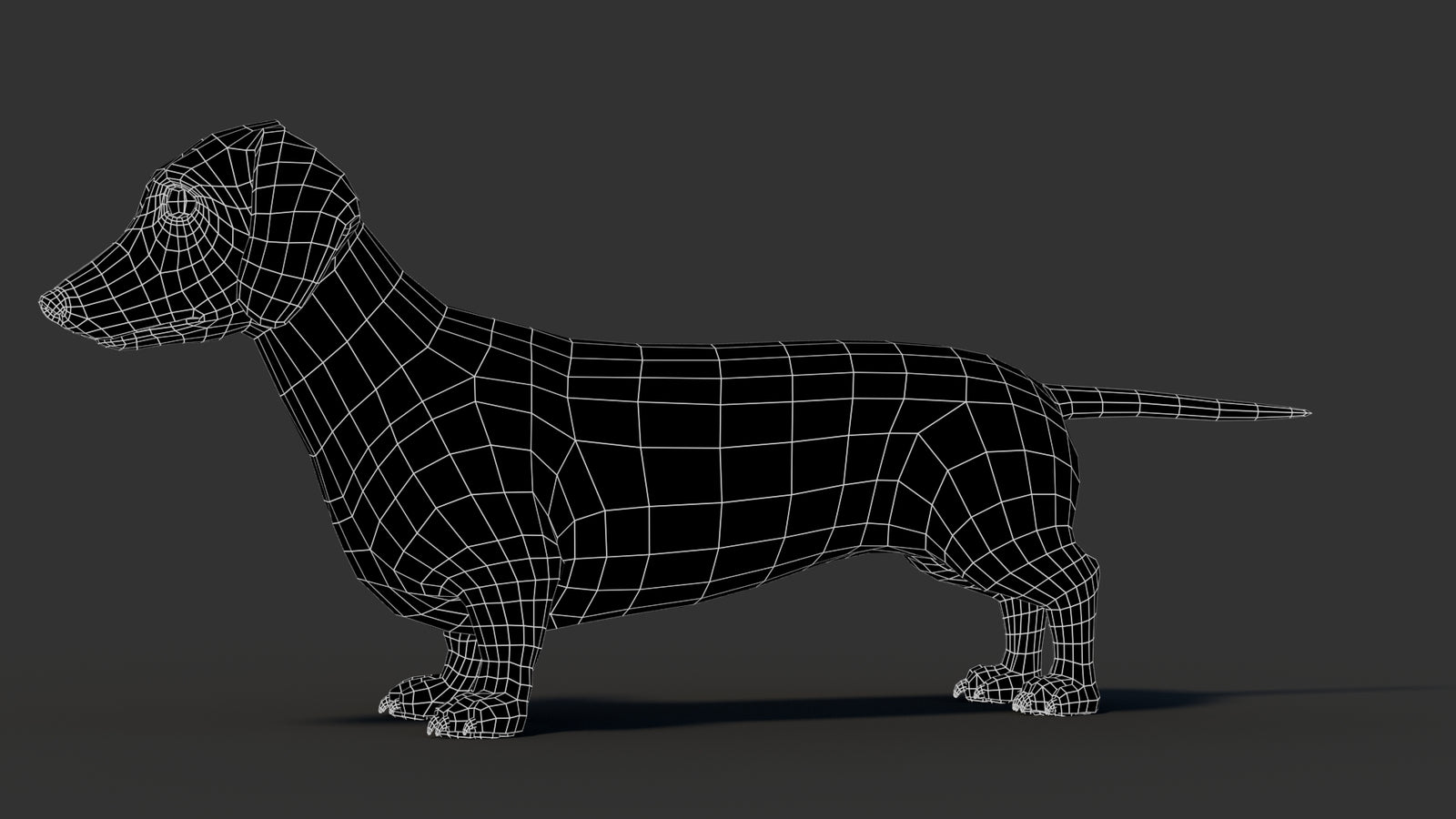 Dachshund 3D Model 360° view 3 frame 32