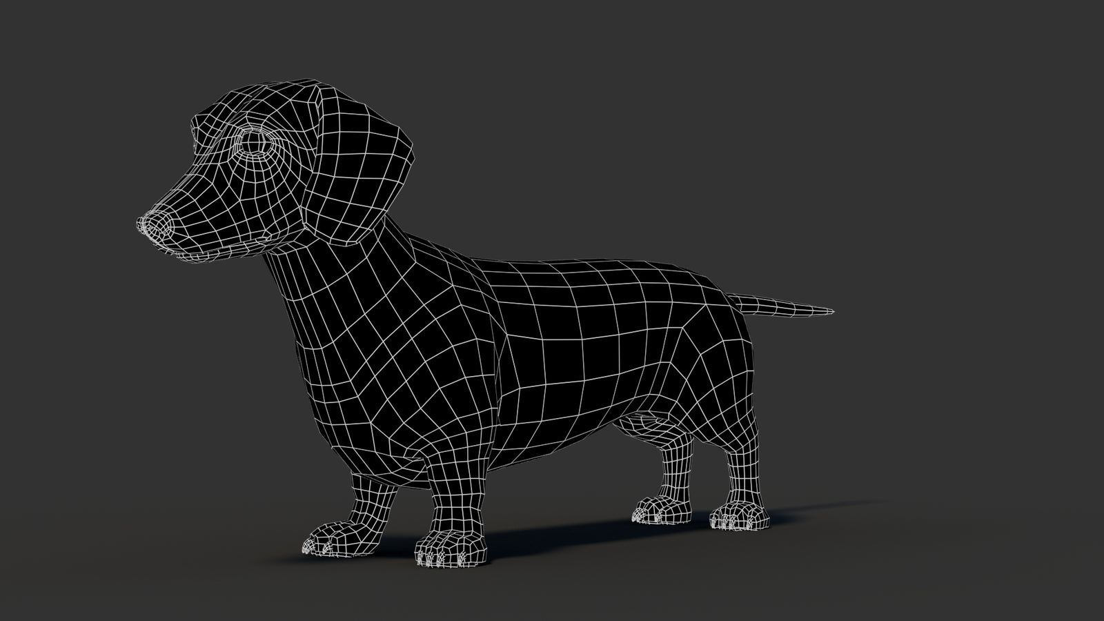 Dachshund 3D Model 360° view 3 frame 35