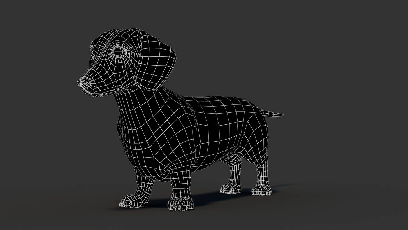 Dachshund 3D Model - 360 Degree View