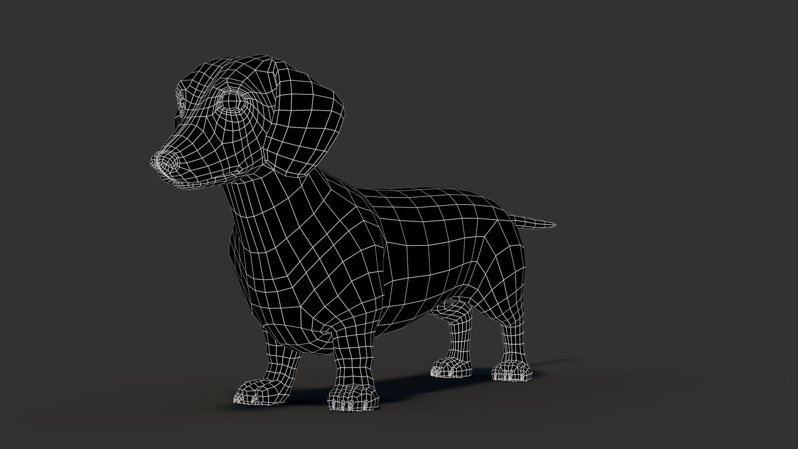 Dachshund 3D Model 360° view 3 frame 36