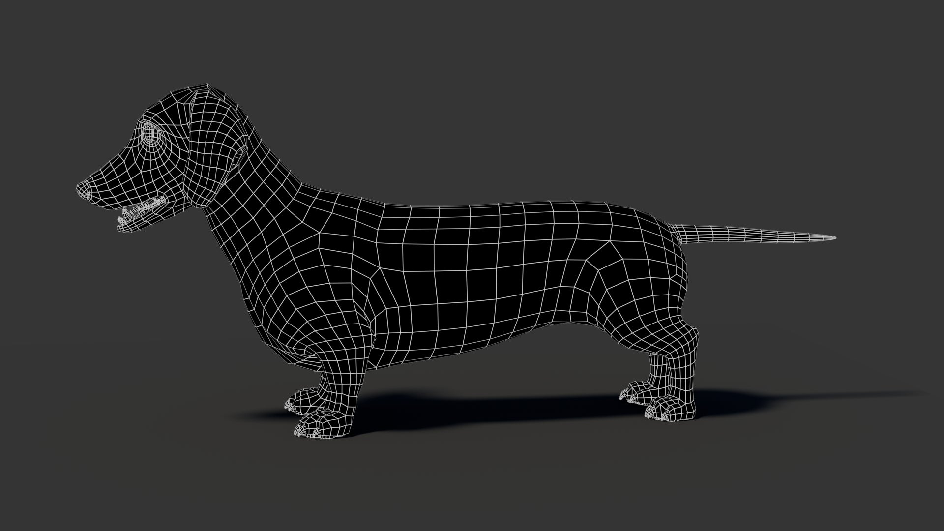 Black Dachshund Dog 3D Model - 360 Degree View