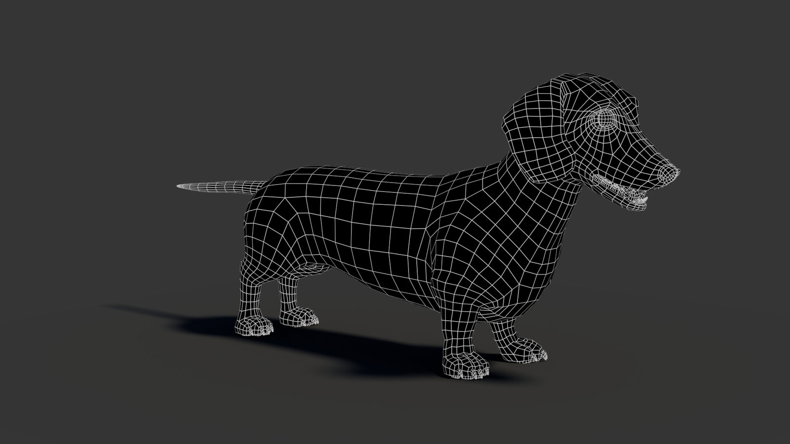Black Dachshund Dog 3D Model 360° view 2 frame 14