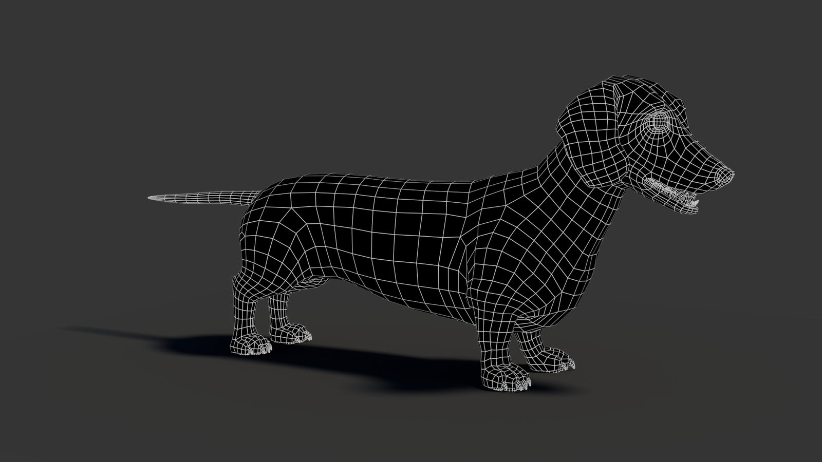 Black Dachshund Dog 3D Model 360° view 2 frame 15