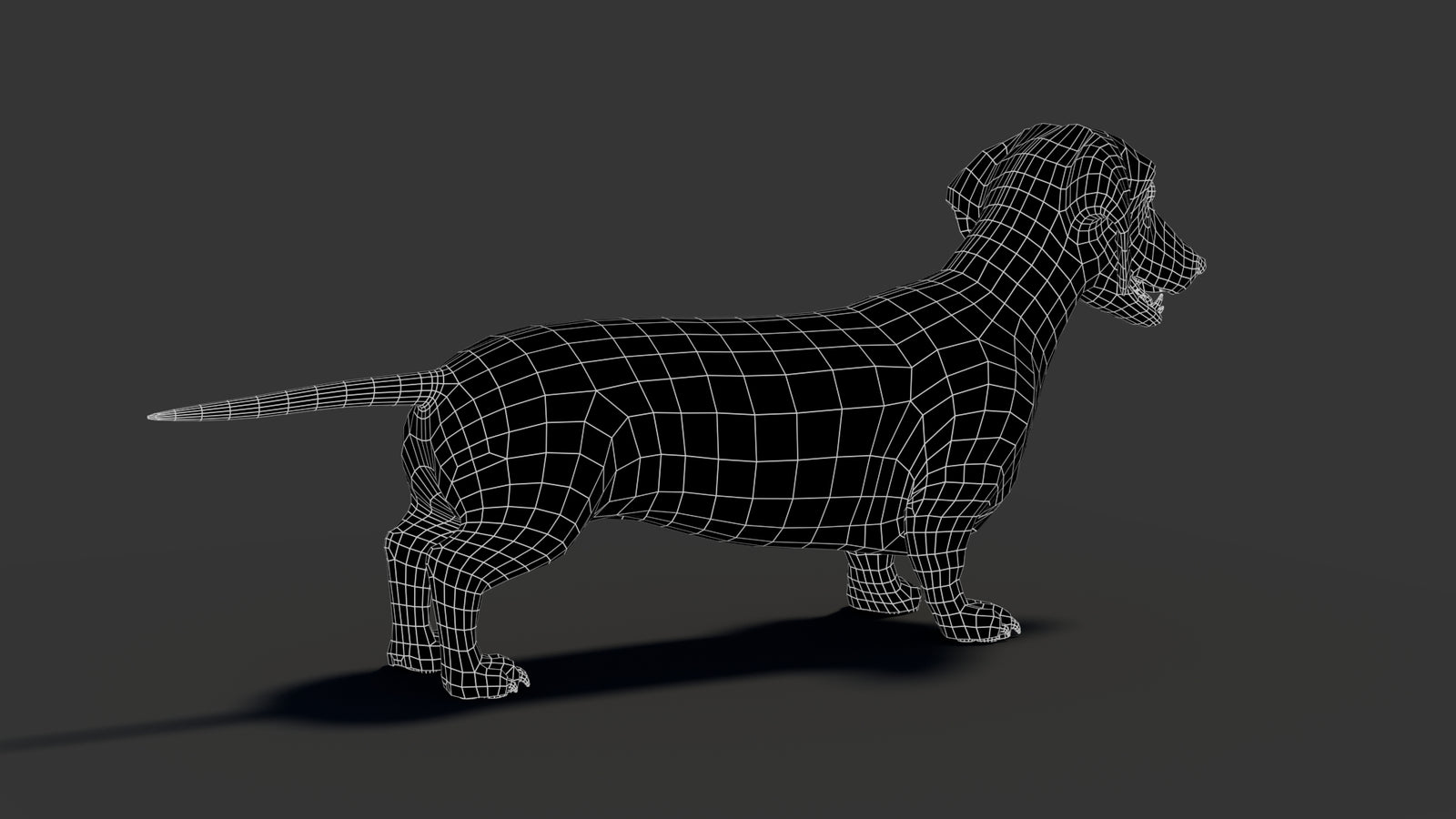 Black Dachshund Dog 3D Model 360° view 2 frame 21