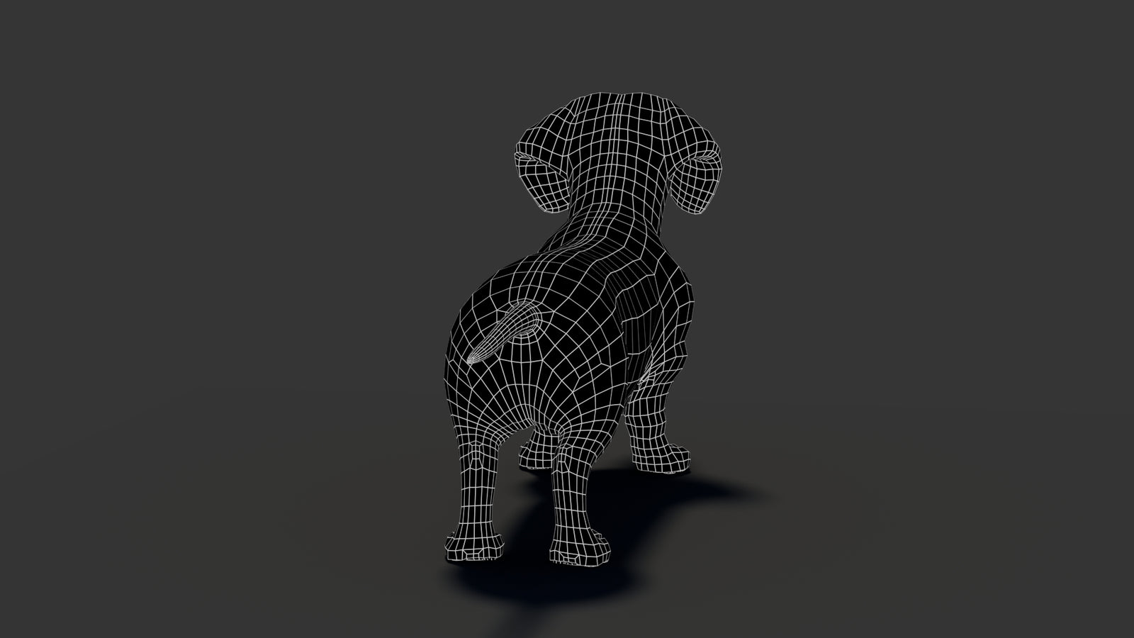 Black Dachshund Dog 3D Model 360° view 2 frame 26