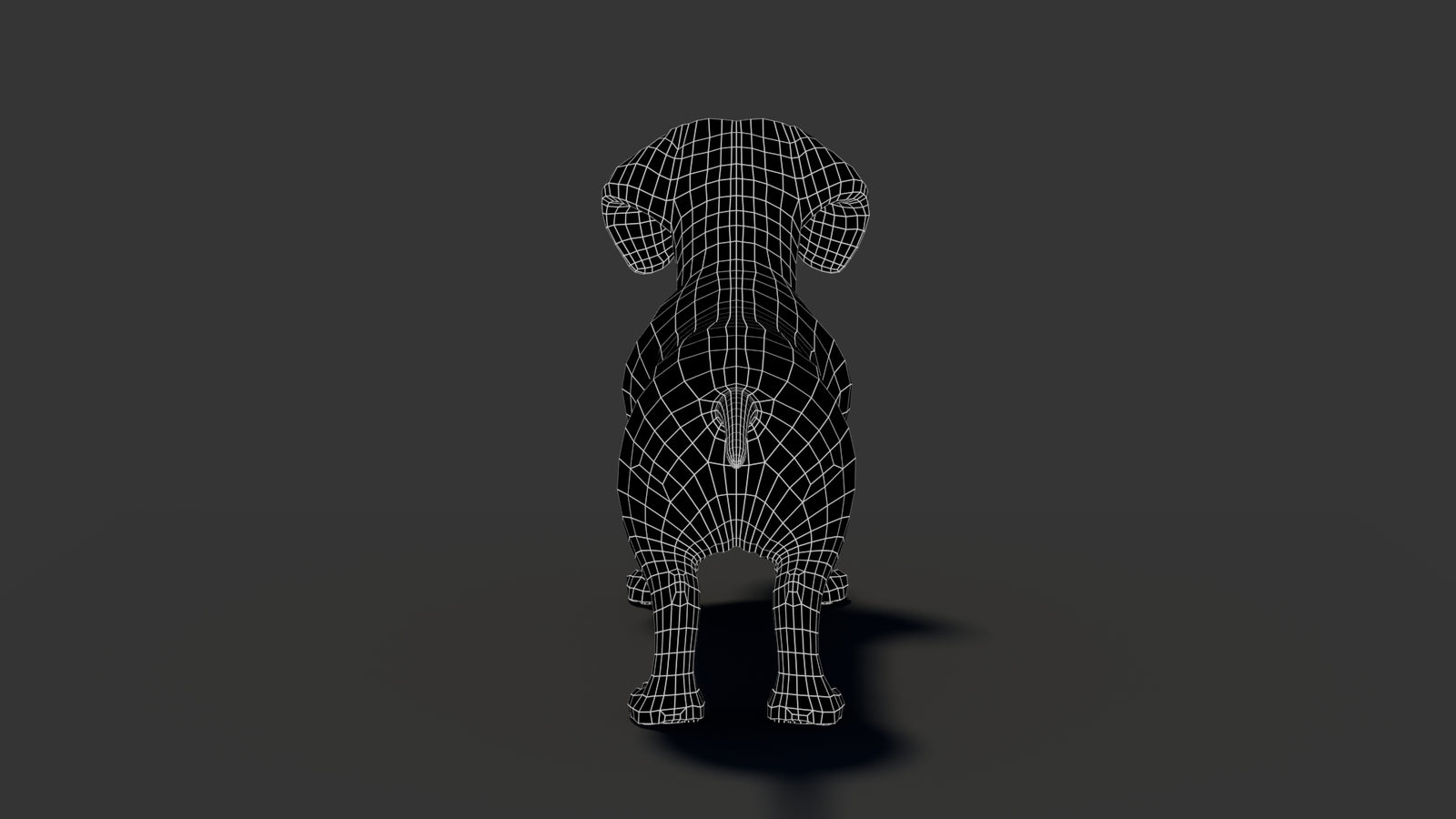 Black Dachshund Dog 3D Model 360° view 2 frame 27