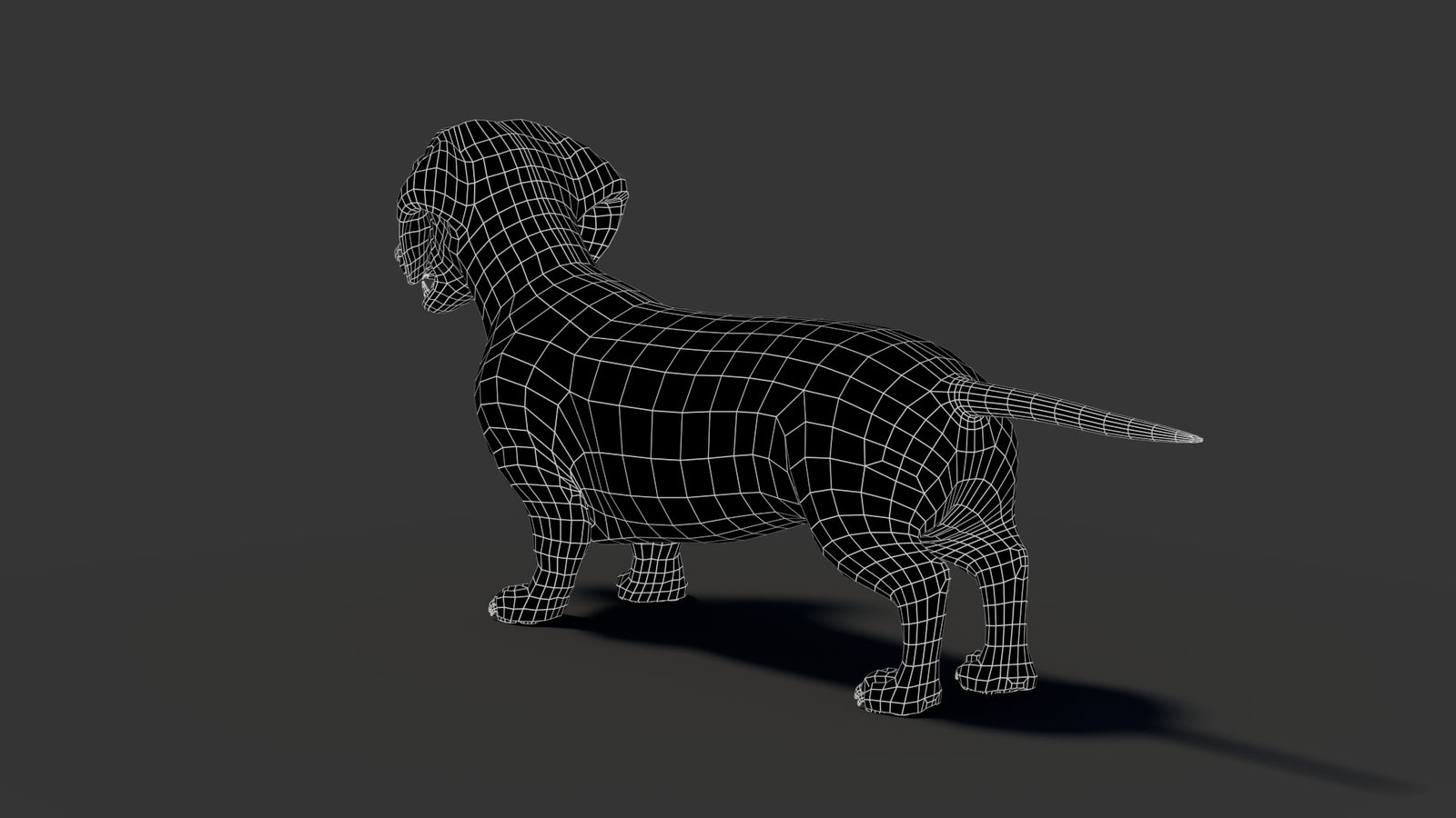 Black Dachshund Dog 3D Model 360° view 2 frame 31
