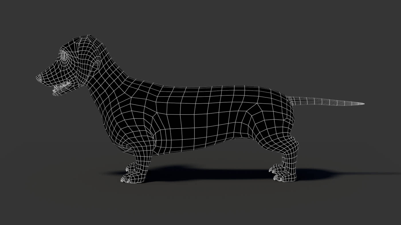 Black Dachshund Dog 3D Model - 360 Degree View