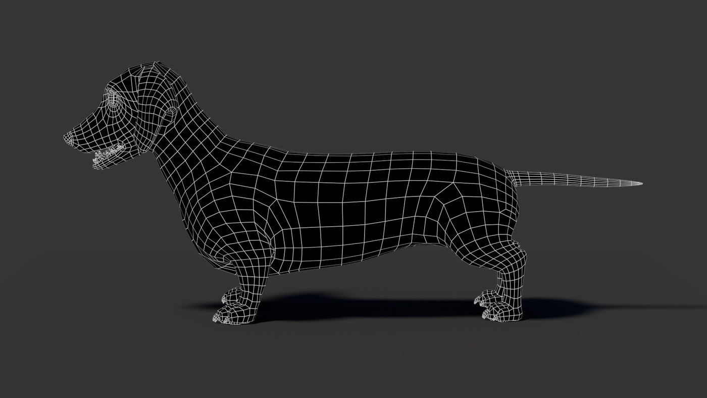 Black Dachshund Dog 3D Model - 360 Degree View