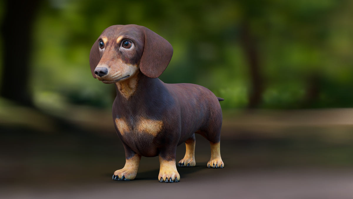 Low-Poly Dachshund 3D Model - 360 Degree View