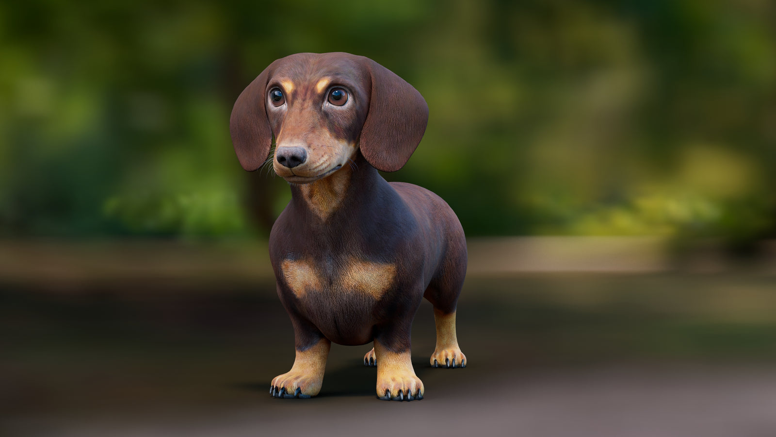 Dachshund Dog 3D Model 360° view 1 frame 2