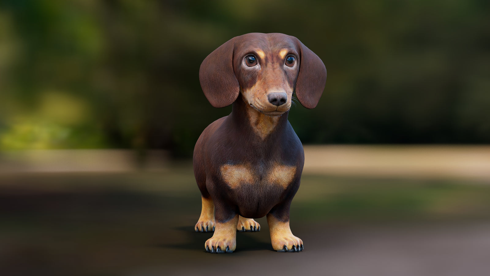 Dachshund Dog 3D Model 360° view 1 frame 4