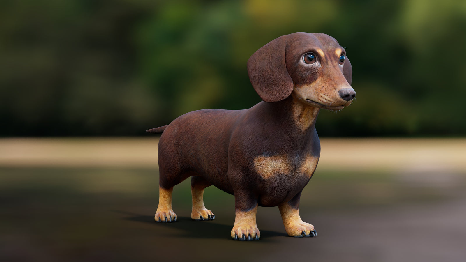 Dachshund Dog 3D Model 360° view 1 frame 6