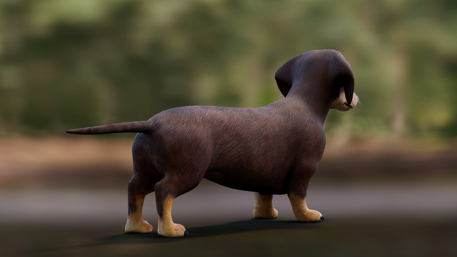 Dachshund Dog 3D Model 360° view 1 frame 17