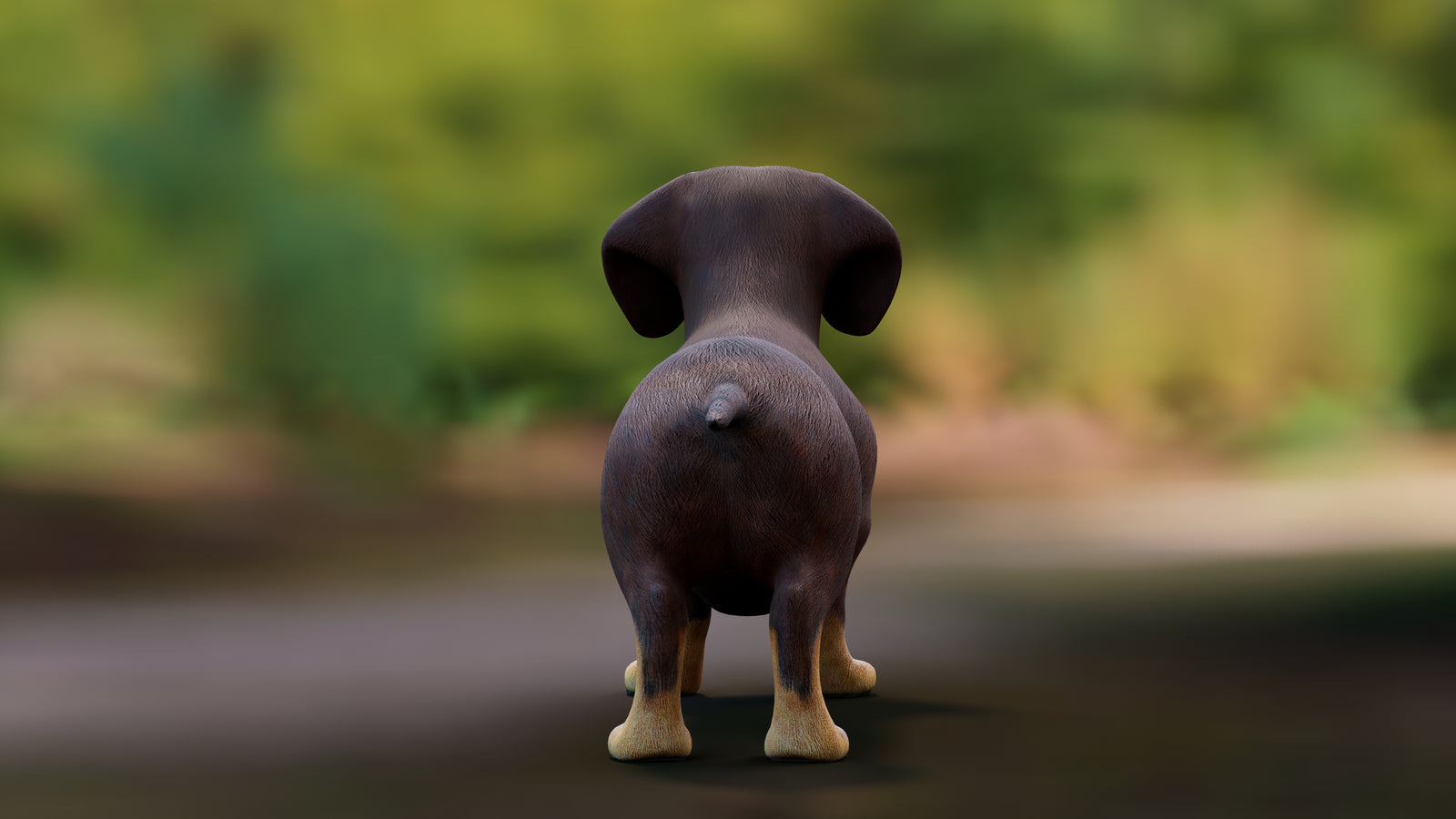 Dachshund Dog 3D Model 360° view 1 frame 21