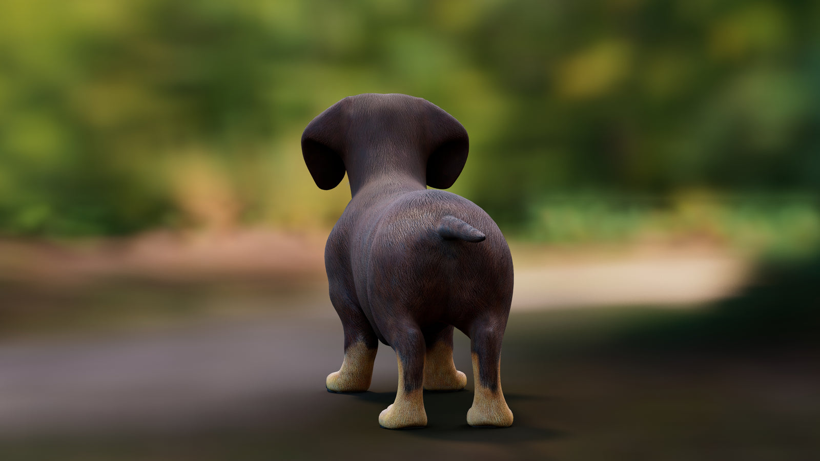 Dachshund Dog 3D Model 360° view 1 frame 22