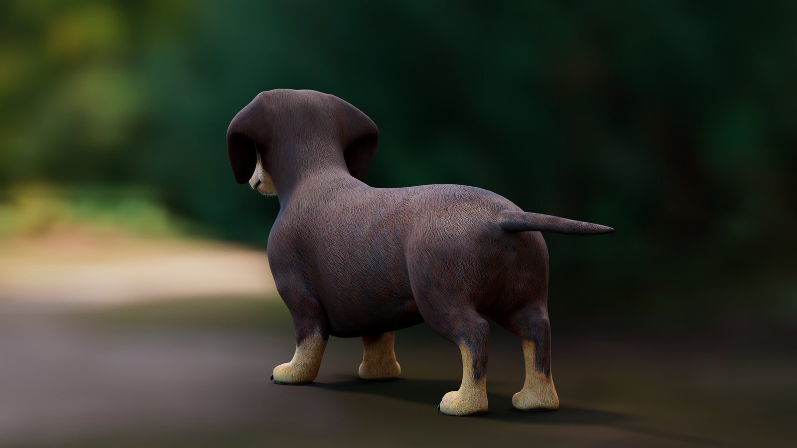 Dachshund Dog 3D Model 360° view 1 frame 24