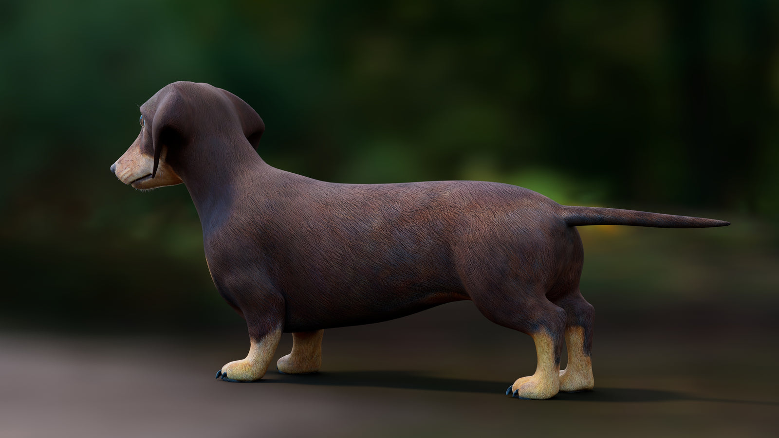 Dachshund Dog 3D Model 360° view 1 frame 27