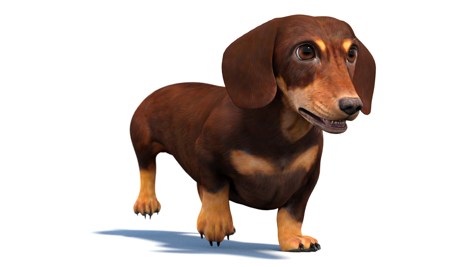 Animated Dachshund Dog 3D Model 360° view 4 frame 6