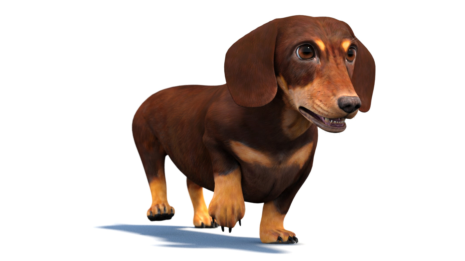 Animated Dachshund Dog 3D Model 360° view 4 frame 9