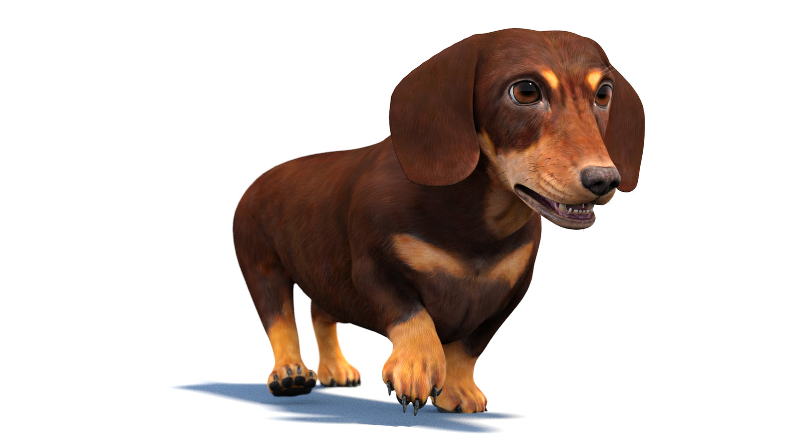 Animated Dachshund Dog 3D Model 360° view 4 frame 11