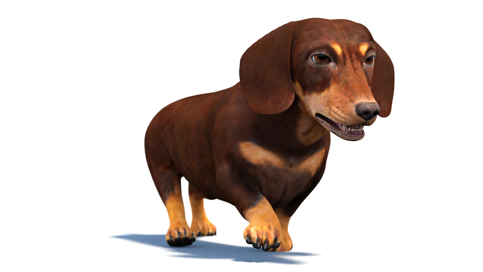 Animated Dachshund Dog 3D Model 360° view 4 frame 12