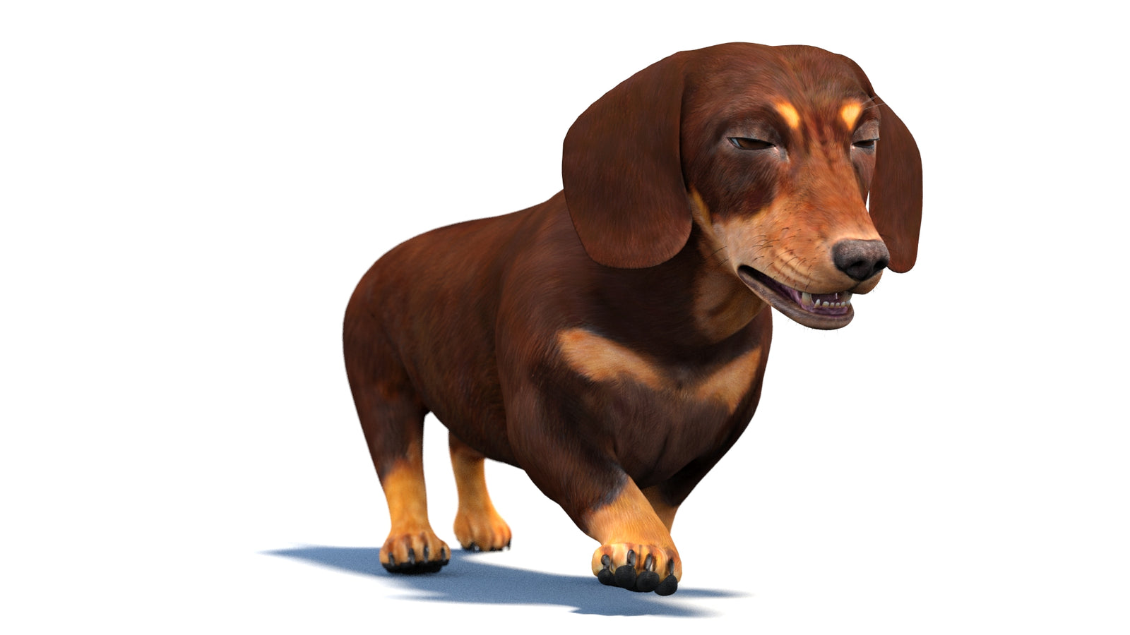 Animated Dachshund Dog 3D Model 360° view 4 frame 13