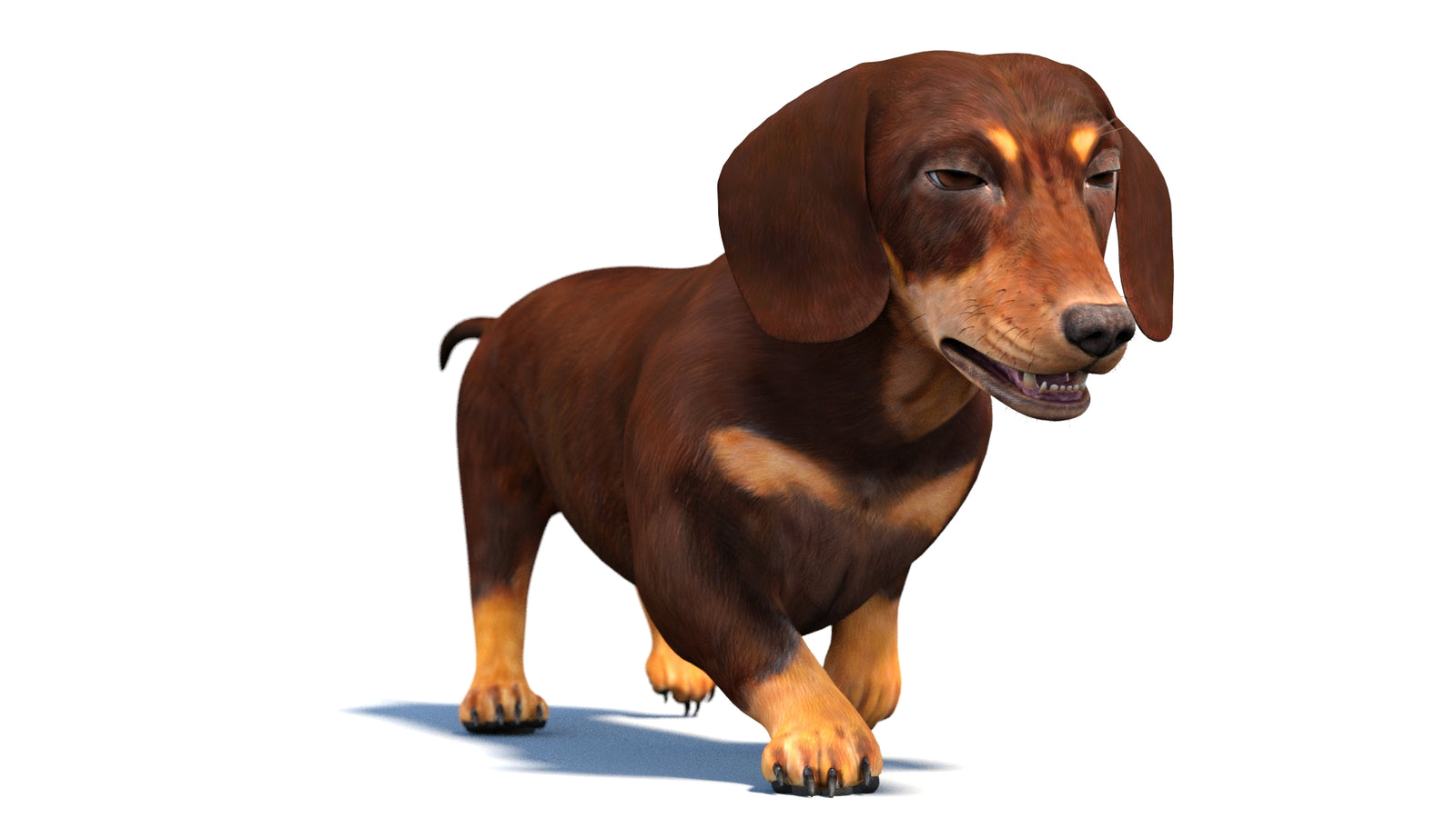 Animated Dachshund Dog 3D Model 360° view 4 frame 16