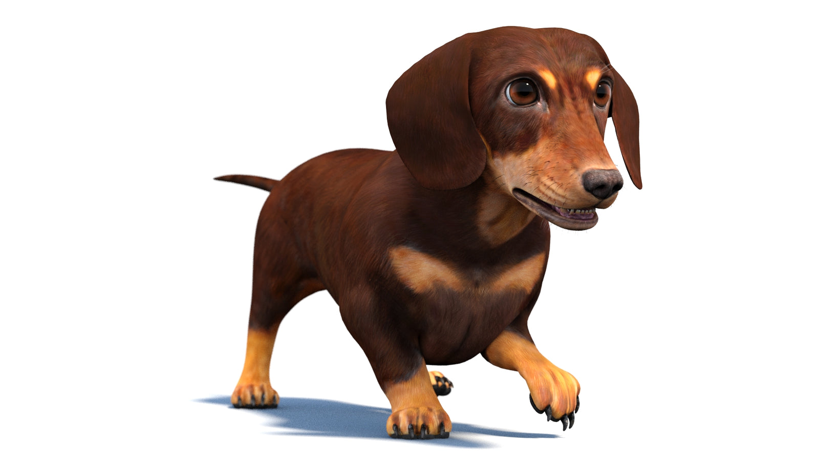 Animated Dachshund Dog 3D Model 360° view 4 frame 21
