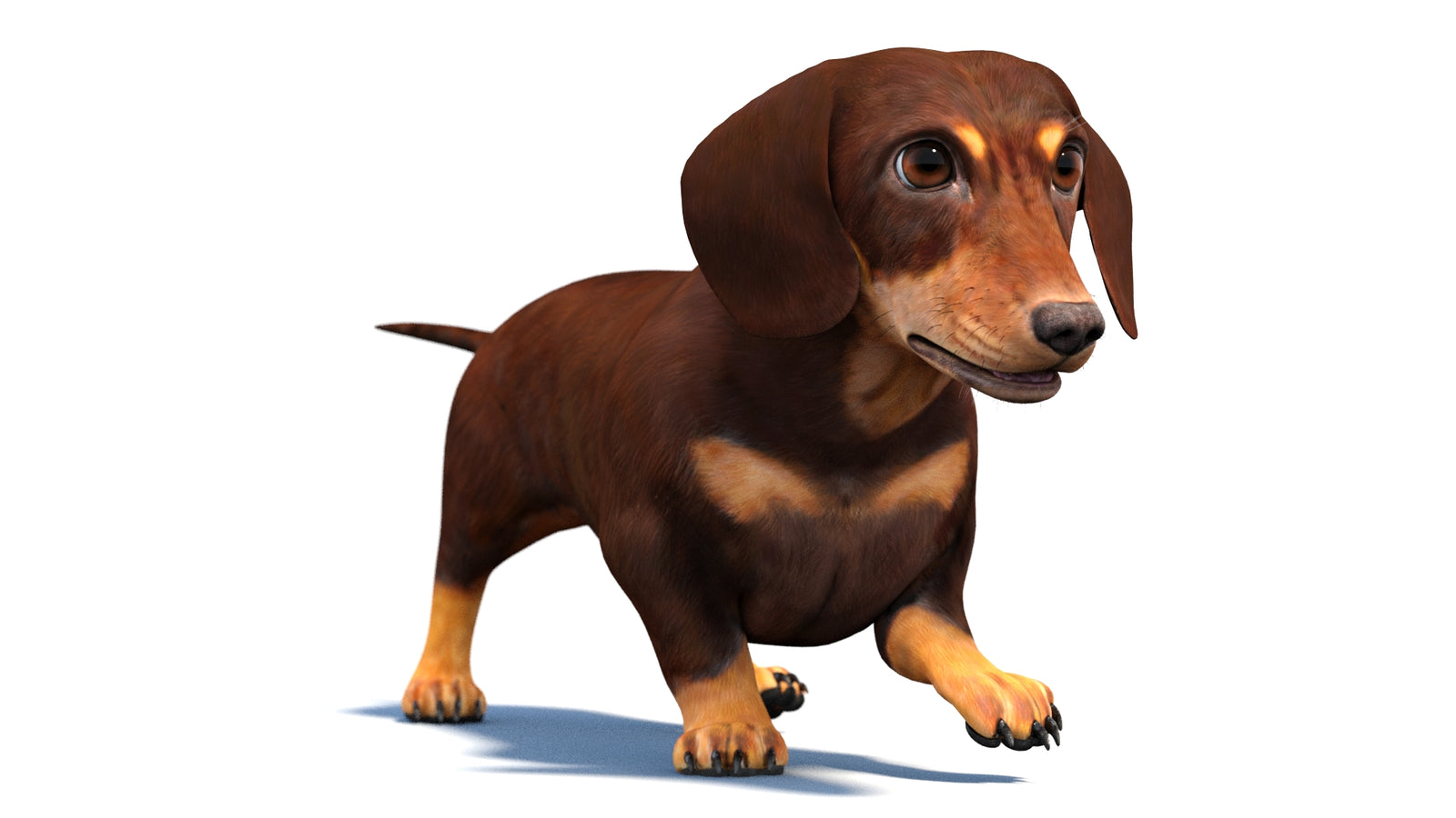 Animated Dachshund Dog 3D Model 360° view 4 frame 22
