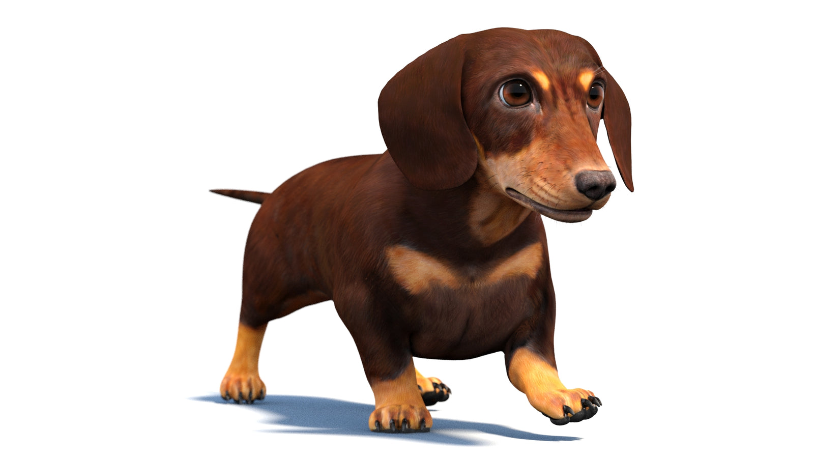 Animated Dachshund Dog 3D Model 360° view 4 frame 23