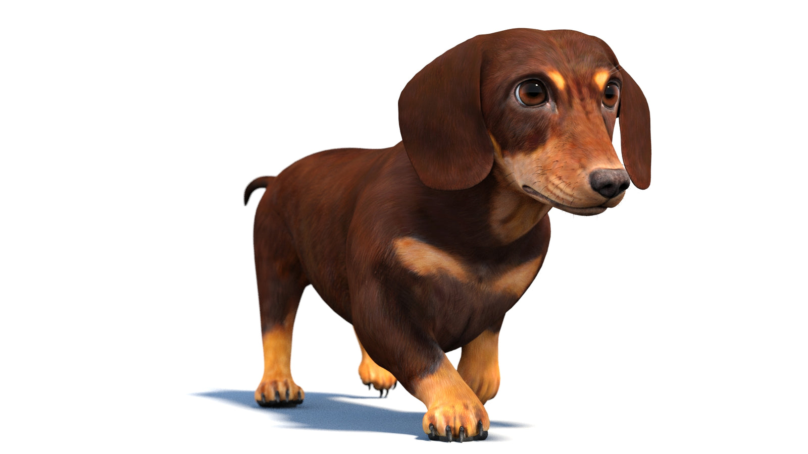 Animated Dachshund Dog 3D Model 360° view 4 frame 41