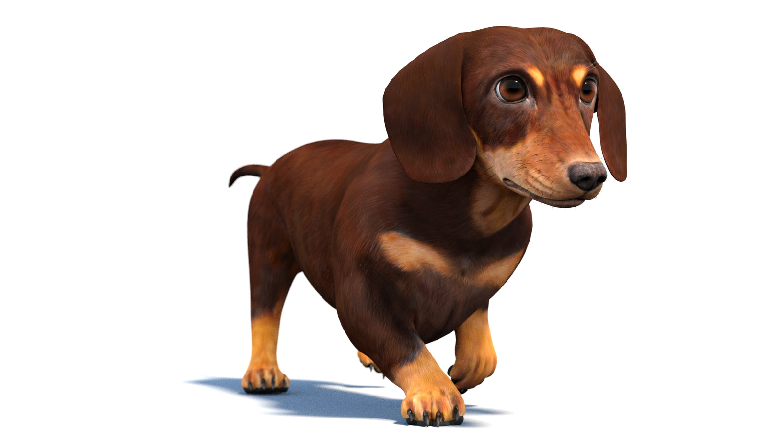 Animated Dachshund Dog 3D Model 360° view 4 frame 42