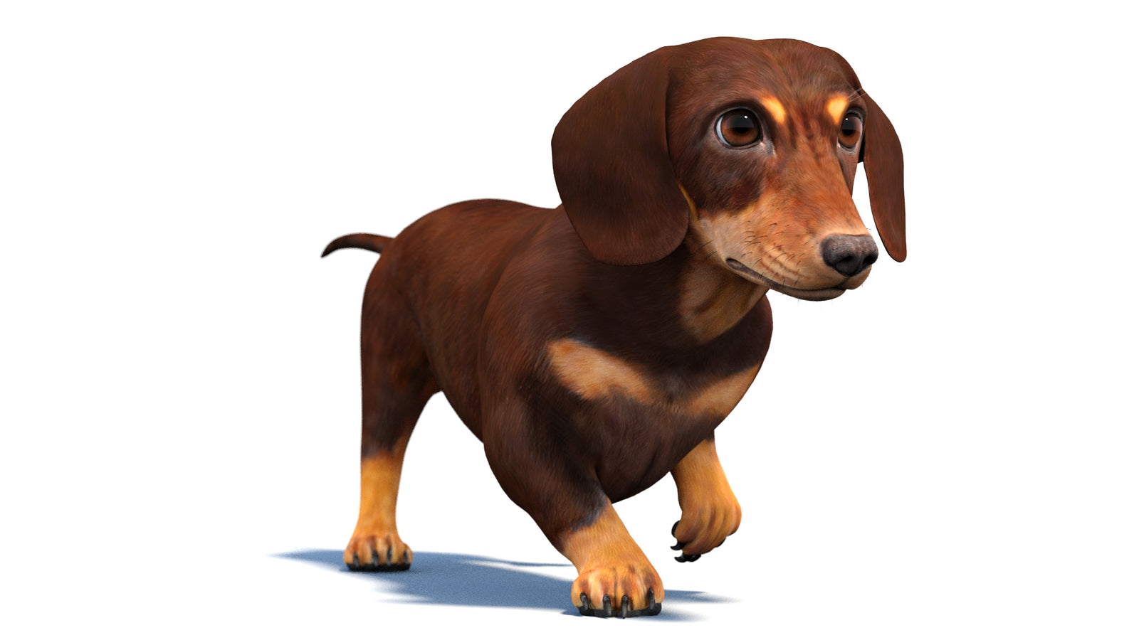 Animated Dachshund Dog 3D Model 360° view 4 frame 43