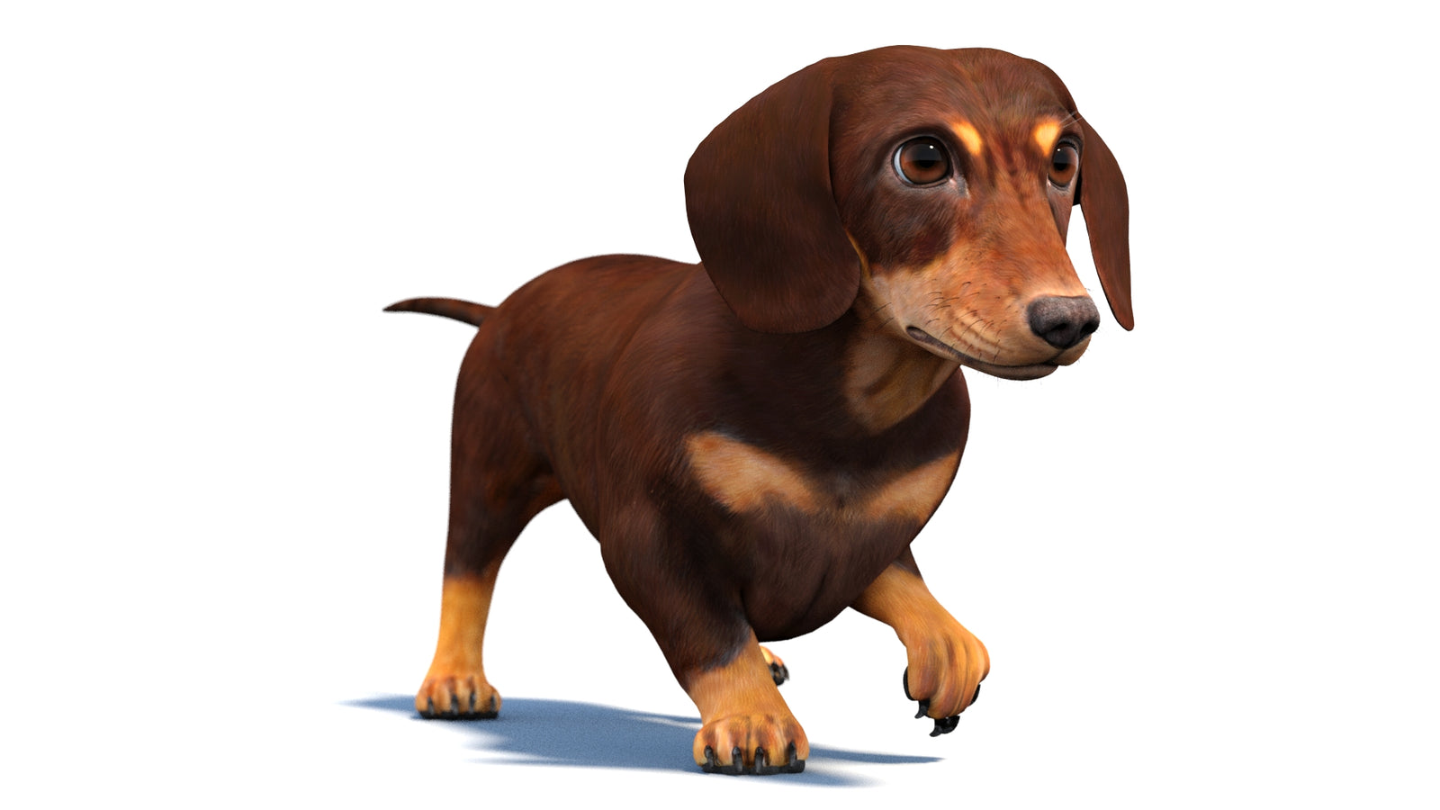 Animated Dachshund Dog 3D Model 360° view 4 frame 45