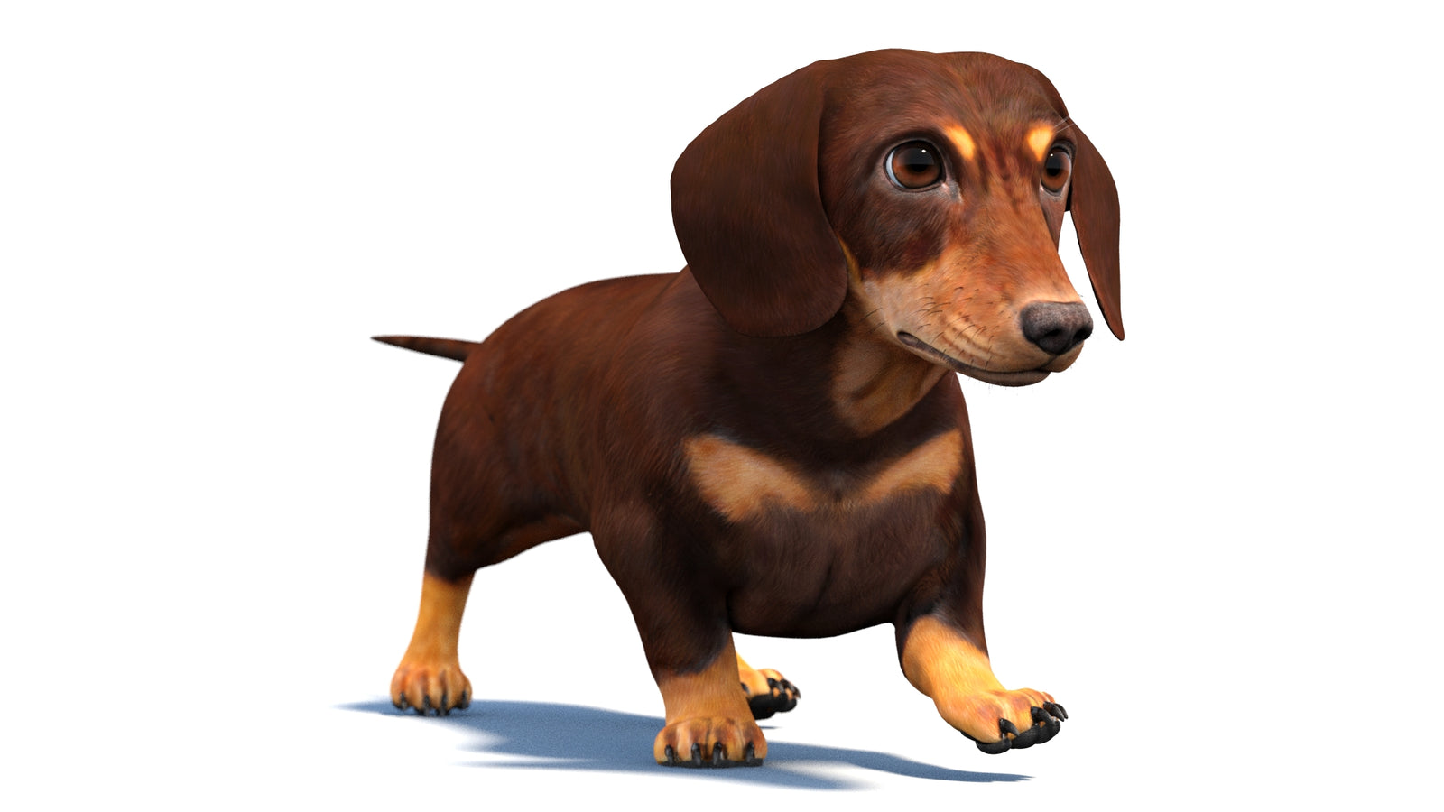 Animated Dachshund Dog 3D Model 360° view 4 frame 48