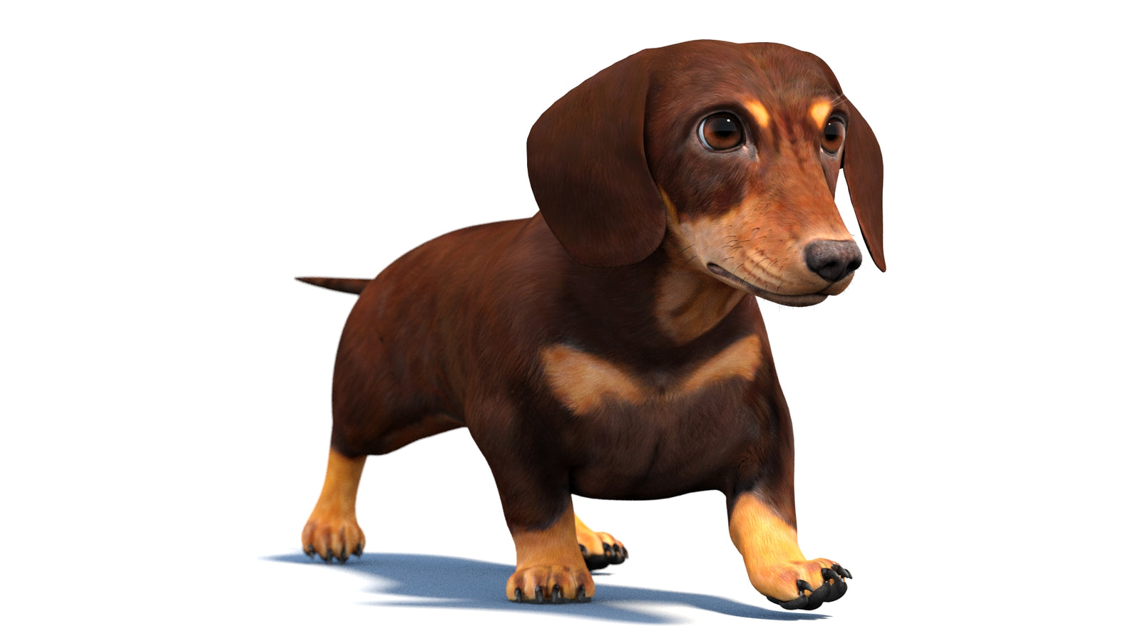 Animated Dachshund Dog 3D Model 360° view 4 frame 49