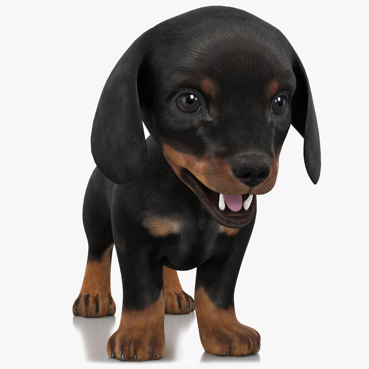 Dachshund puppy 3D model, game-ready low-poly