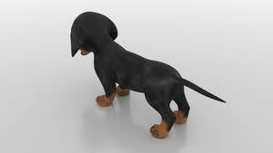 Dachshund Dog Puppy 3D Model - Game-Ready Thumbnail