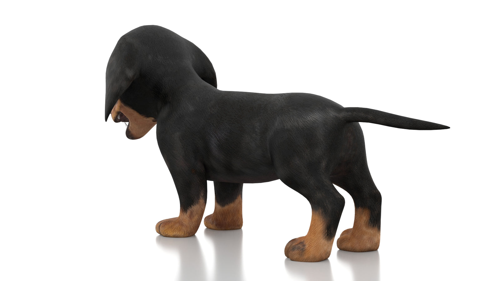 Dachshund Dog Puppy 3D Model Rigged 360° view 1 frame 20