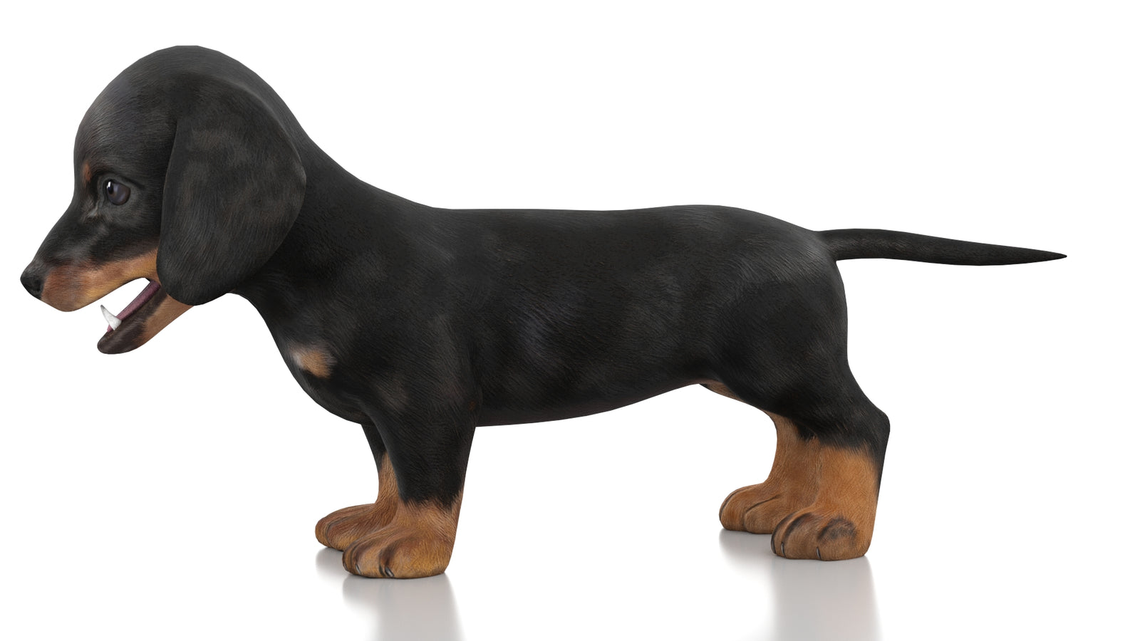 Dachshund Dog Puppy 3D Model Rigged 360° view 1 frame 26