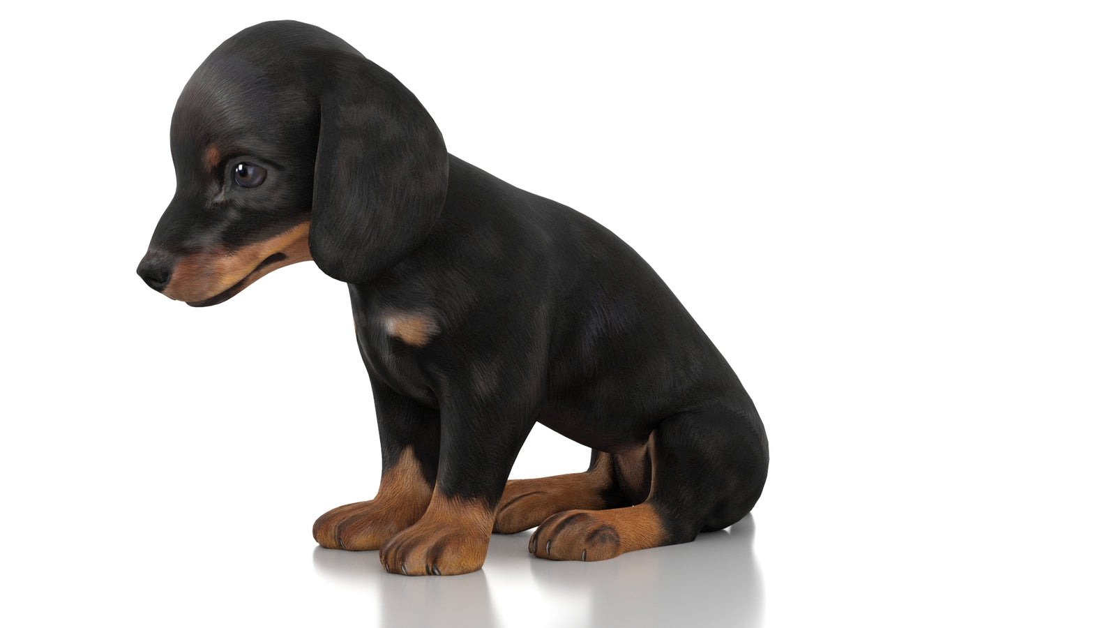 Dachshund Dog Puppy 3D Model Rigged 360° view 2 frame 28