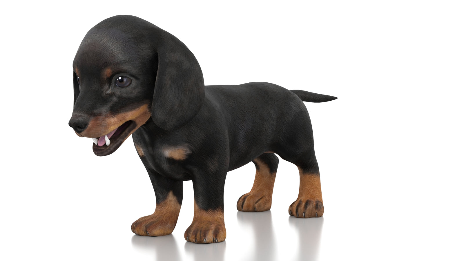Dachshund Dog Puppy 3D Model Rigged 360° view 1 frame 30