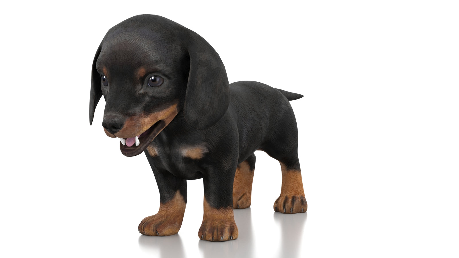 Dachshund Dog Puppy 3D Model Rigged 360° view 1 frame 31