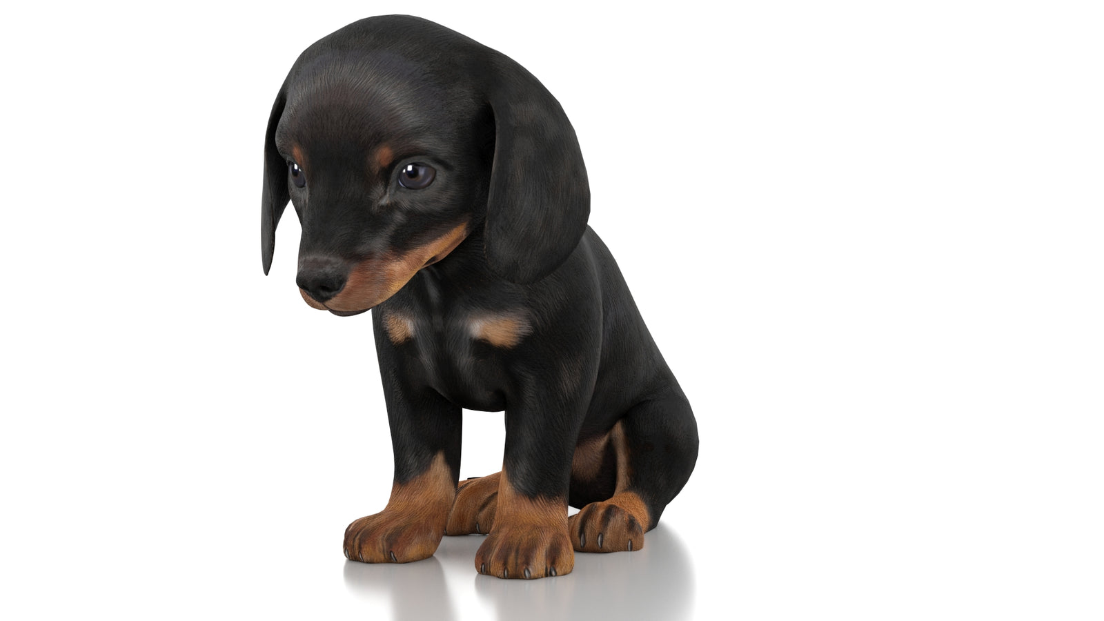 Dachshund Dog Puppy 3D Model Rigged 360° view 2 frame 31
